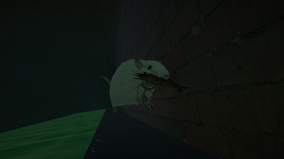 Sewer Rat