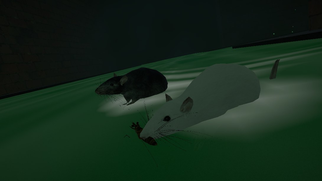 Sewer Rat